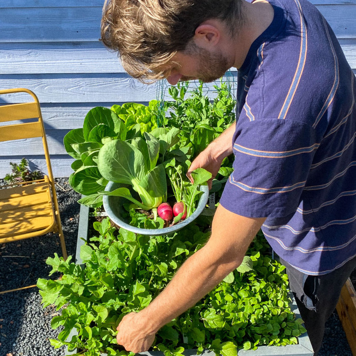De Makkelijke Moestuin nóg beter?