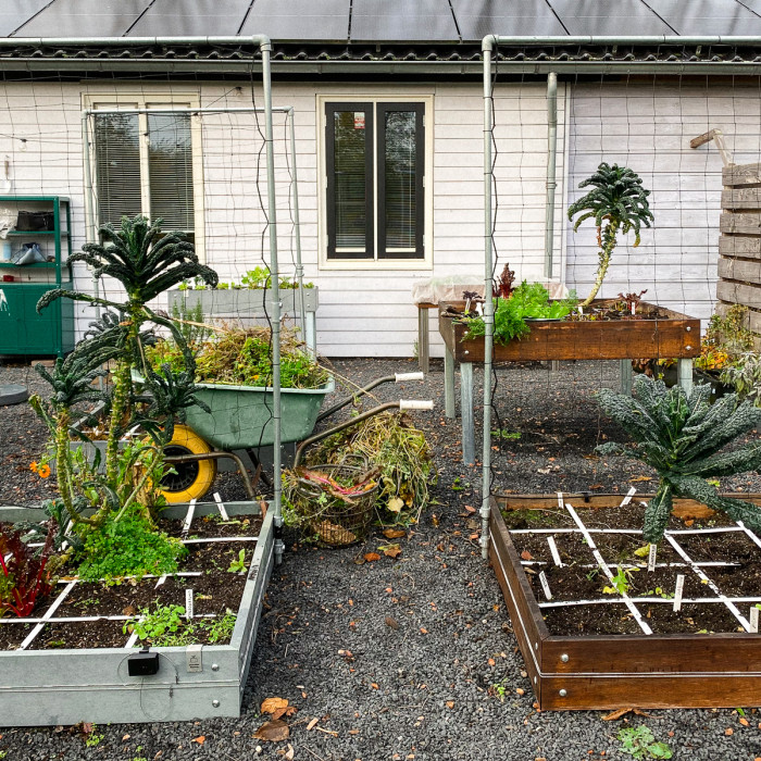 Alweer een moestuinseizoen voorbij