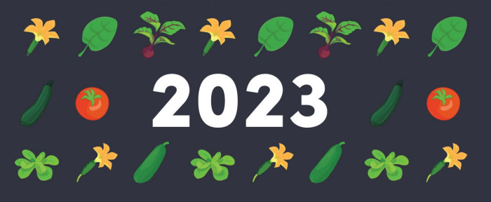 Op 2023 en een top moestuinjaar