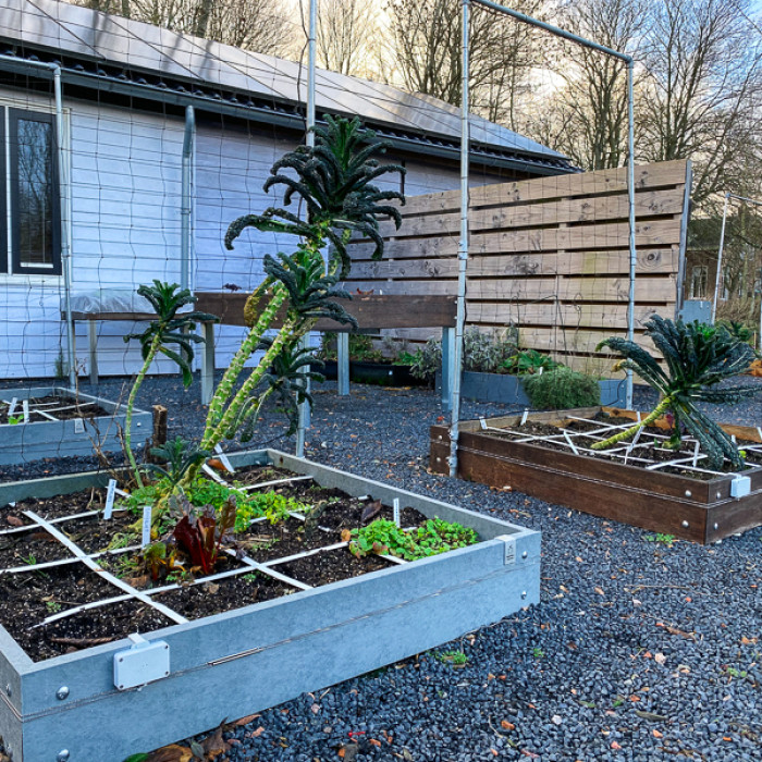 Kost een moestuin veel tijd?