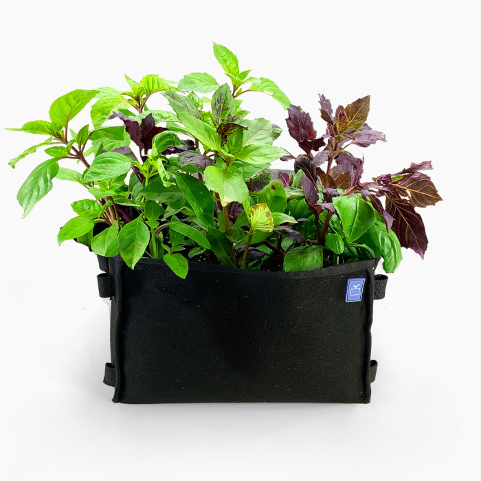 Basil mix