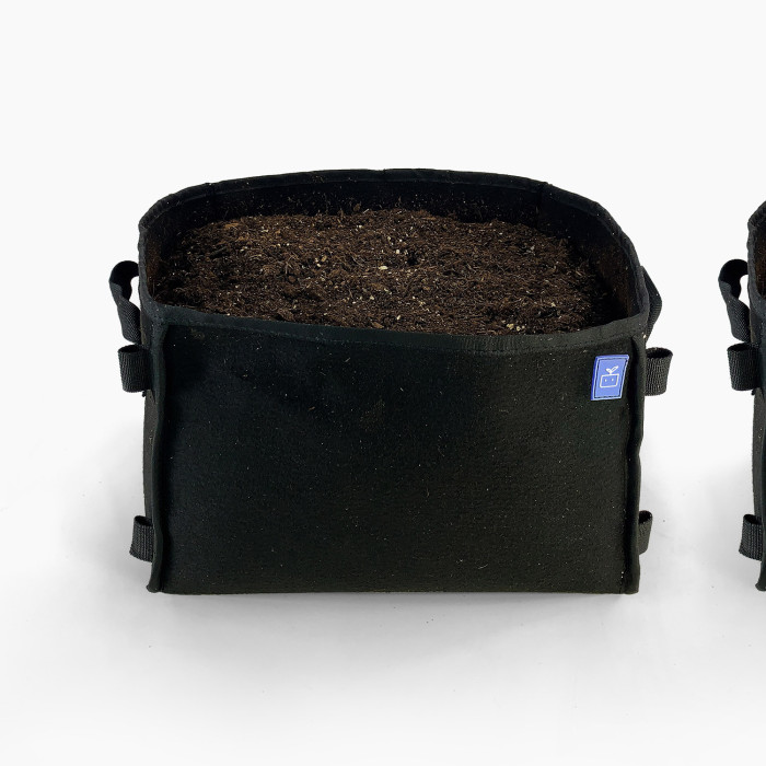 Potato package with 4 black MM-minis 