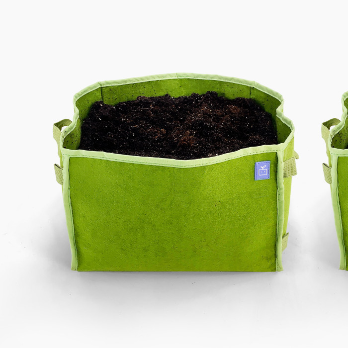 Potato package with 4 green MM-minis 