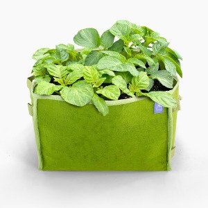 Aardappelpakket met 4x MM-mini's