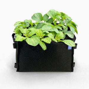 Aardappelpakket met 4x MM-mini's