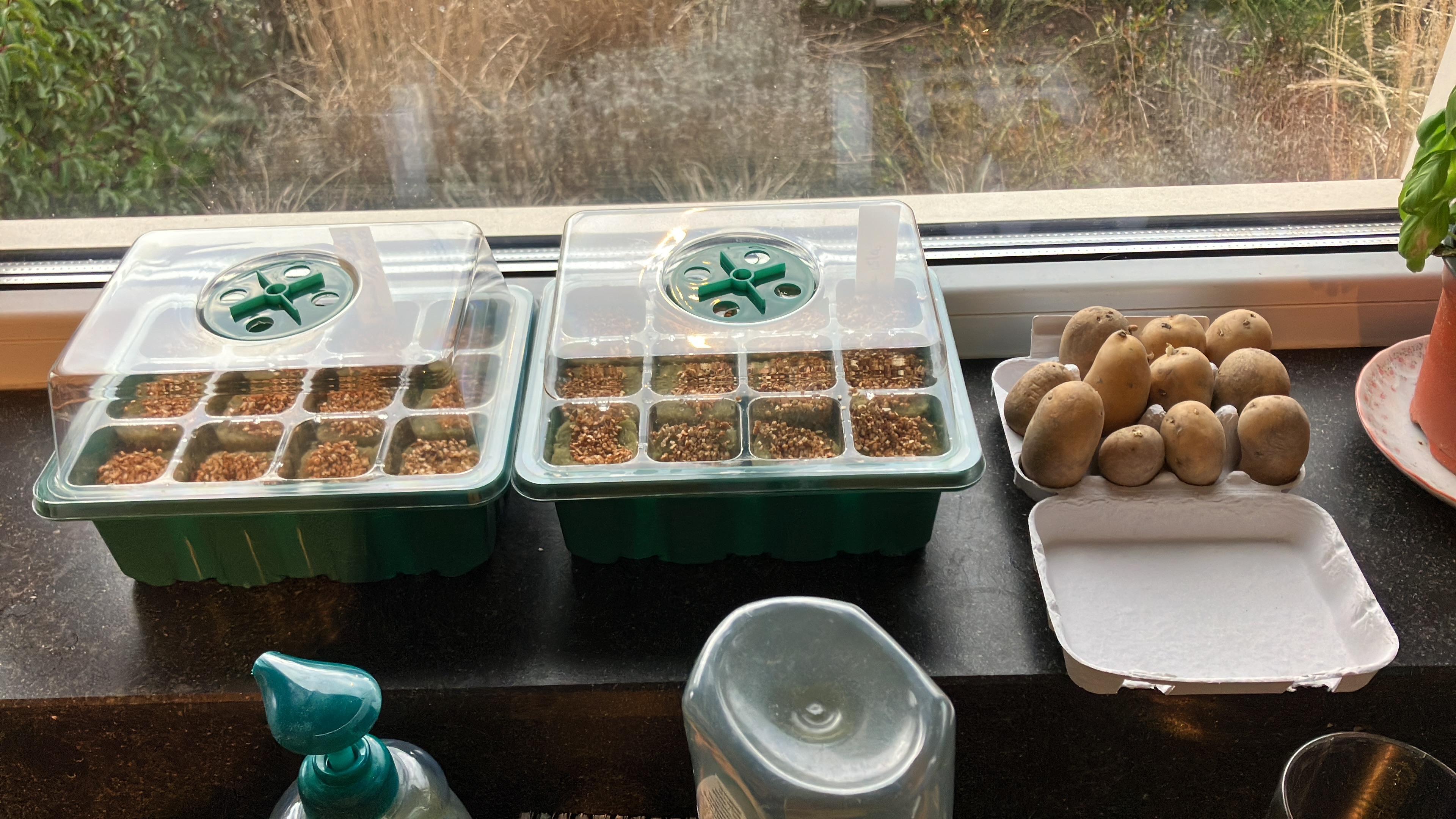 WANYI 50 stuks steenwolkubussen, Rockwool groeikubussen, steenwol vermeerderingskubussen met schaar, handschoenen voor de teelt van soilless, vermeerdering van planten