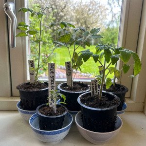 Airpots