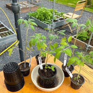 Airpots
