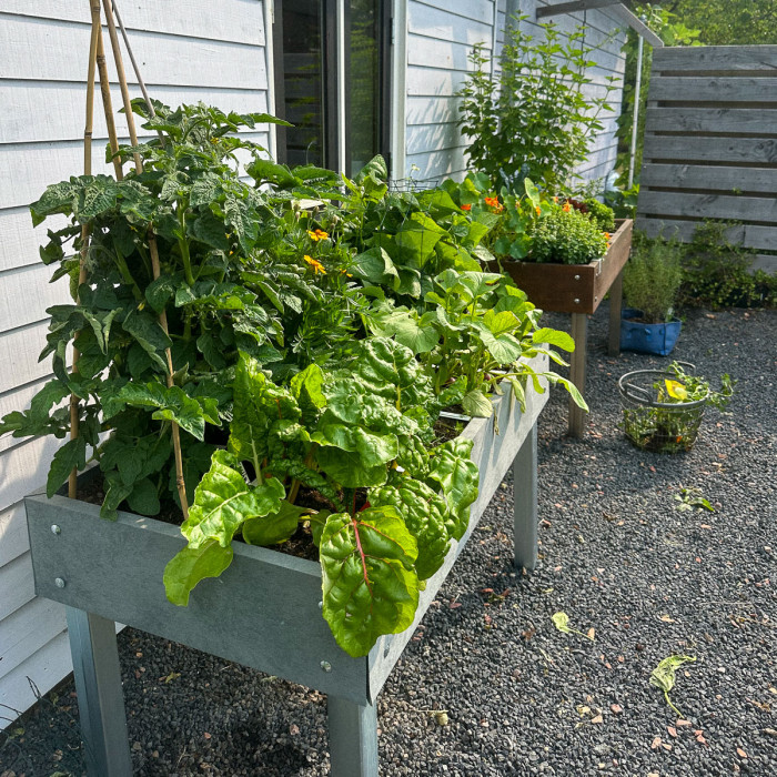 Over weer en wind - en moestuintafels