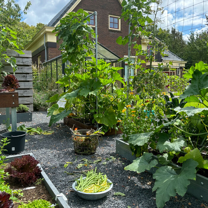 Zaai nu extra voordelig voor de herfst