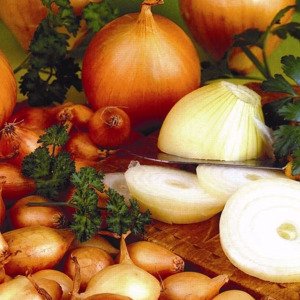 Gele Winteruien