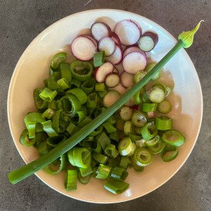 Red Winter Onions