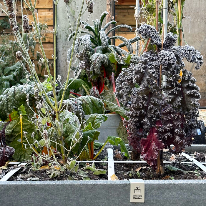 Winterslaap voor de moestuin