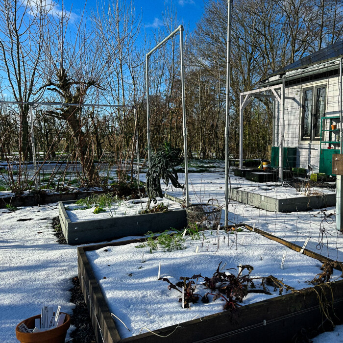 Sneeuw, voorpret en starten op 1 maart