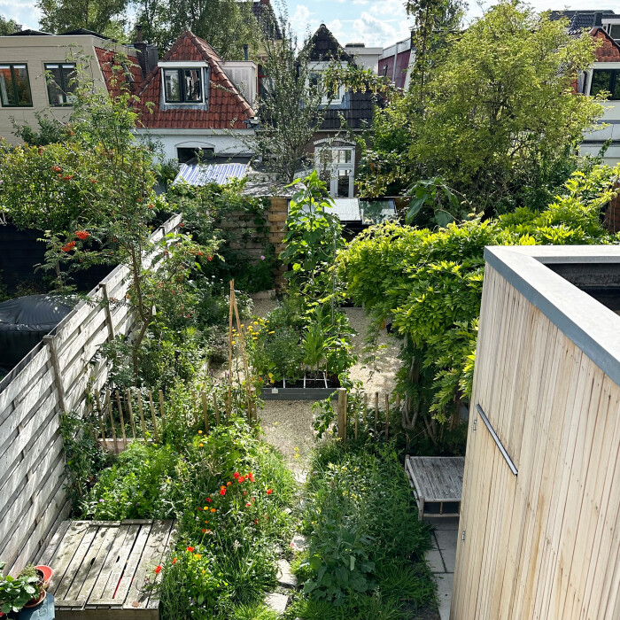 Hoe ziet jouw ideale moestuin eruit?