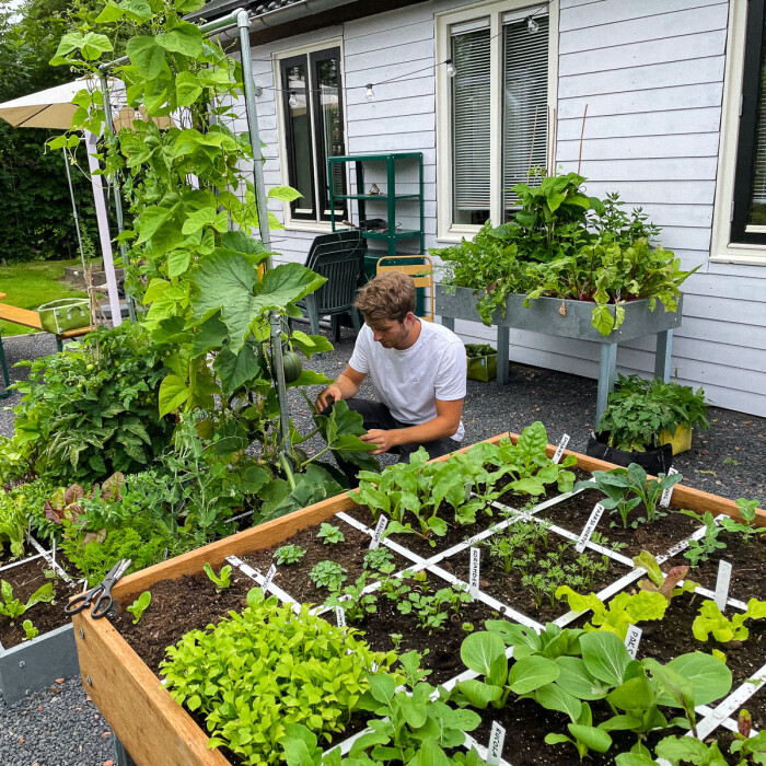 Plan een moestuin die bij je past
