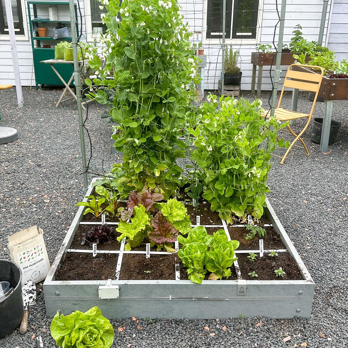 MM plant food