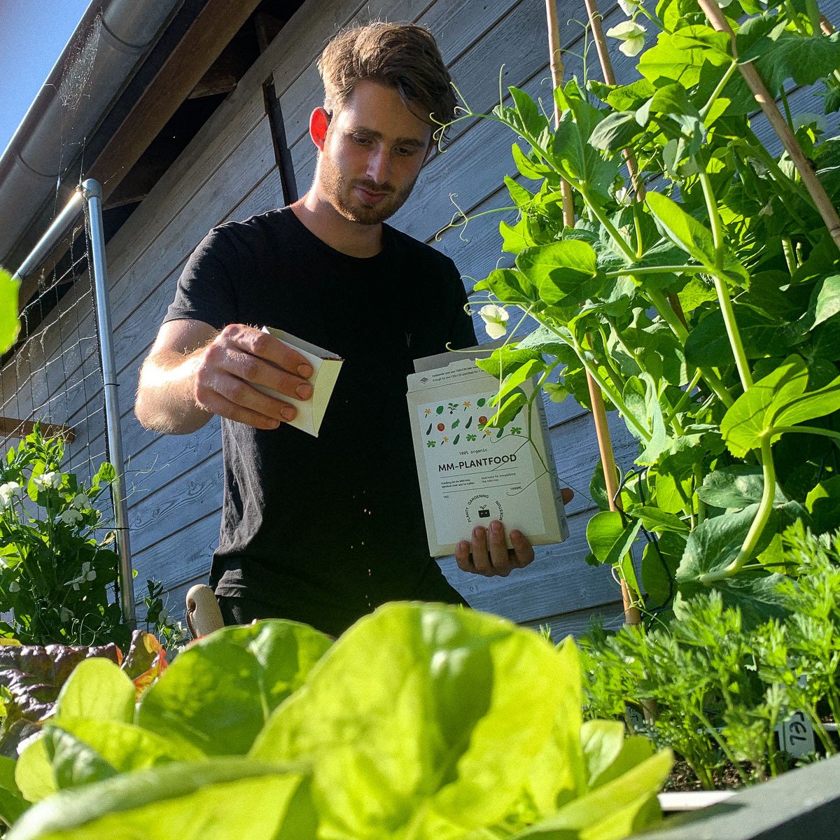 MM plant food