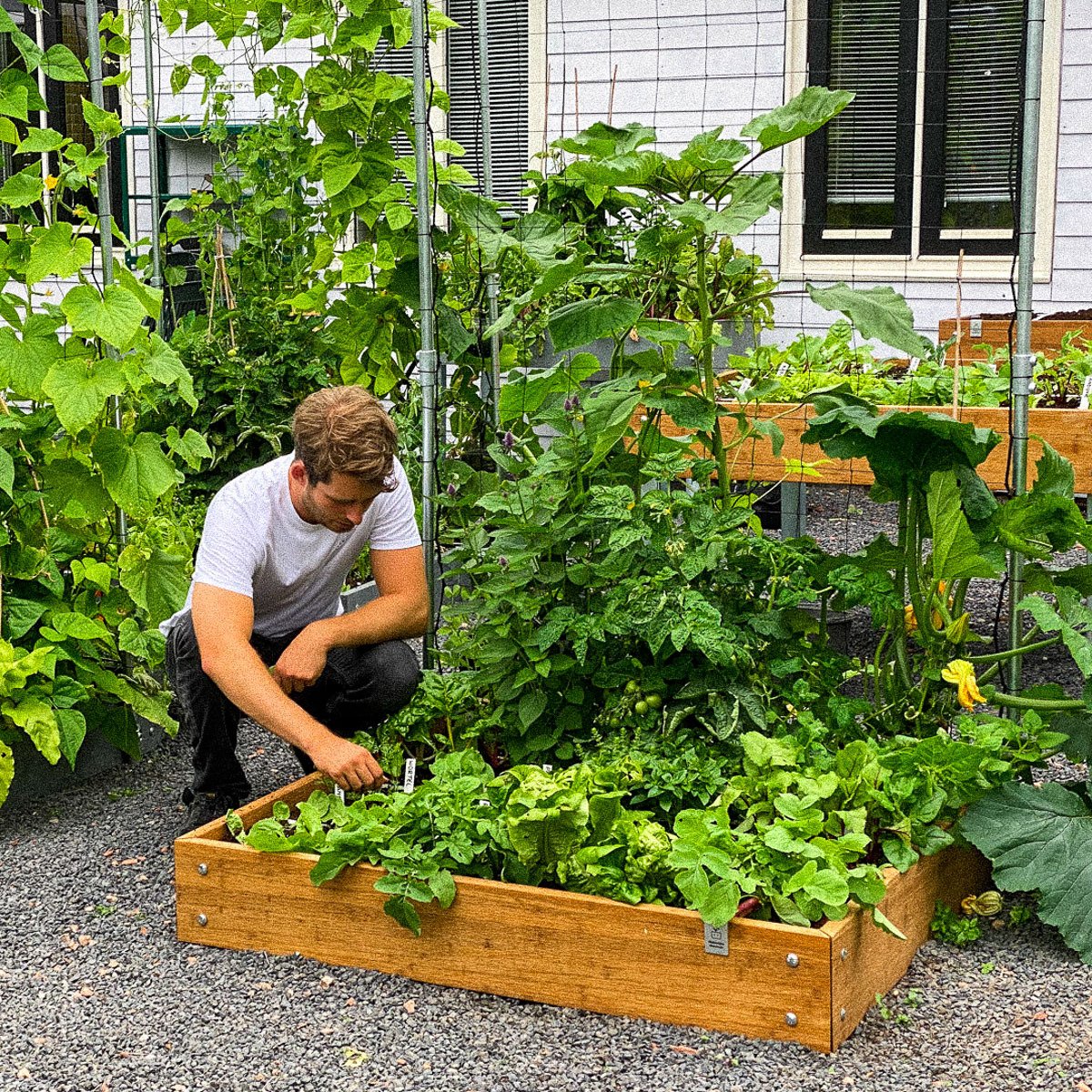 MM plant food