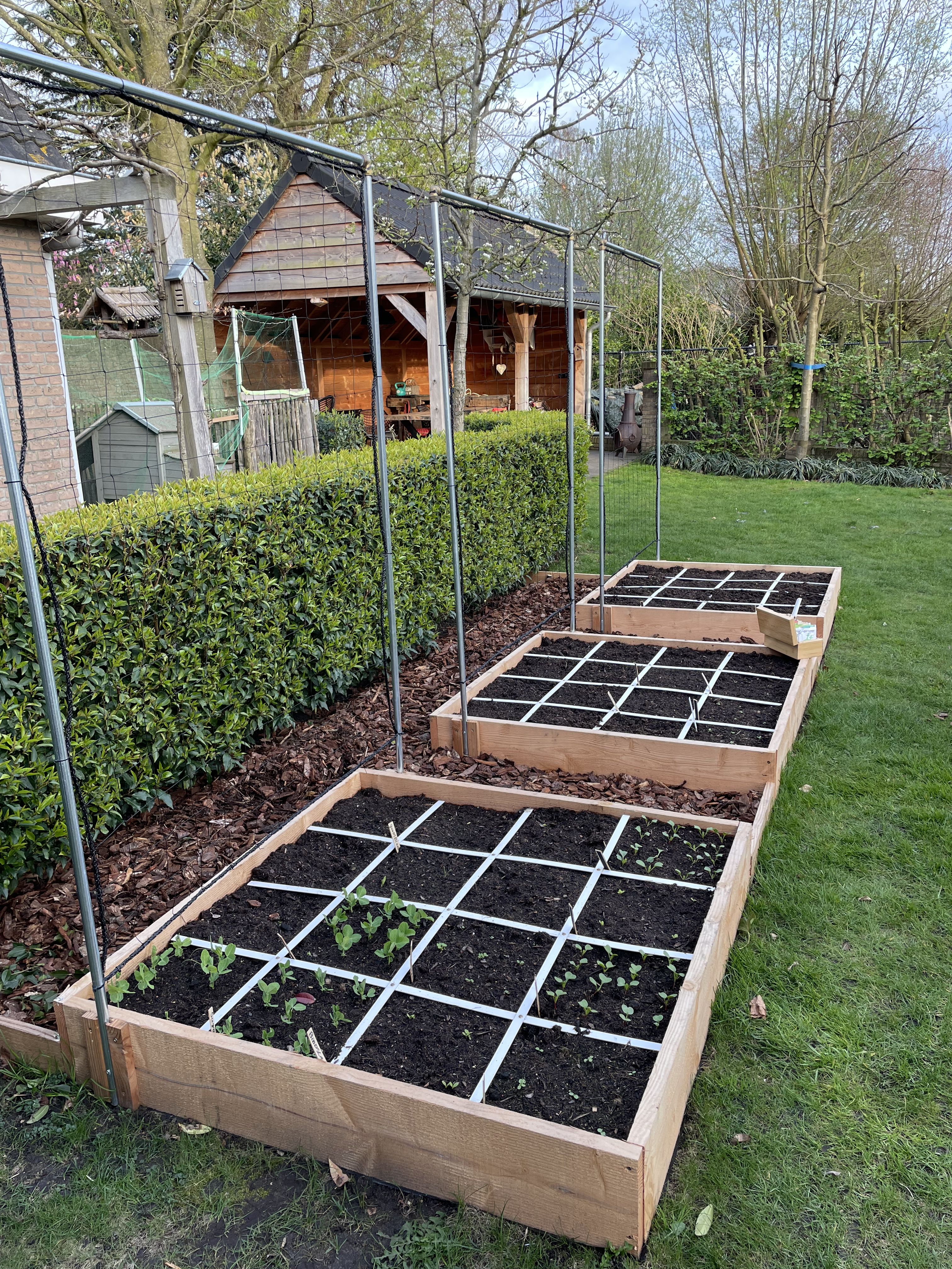 MM-foto-moestuin-.png