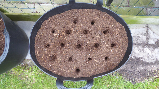 P1040692___media_library_original_672_37