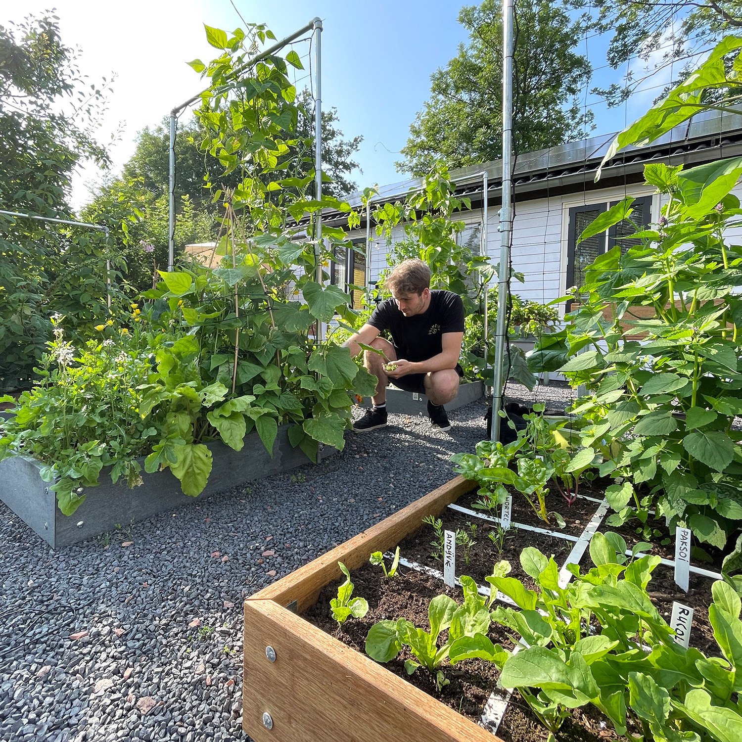 Klimrek voor moestuinbak