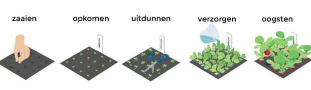 Hulp met verzorgen van de je plantjes van zaadje tot oogst: de Makkelijke Moestuin app