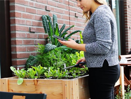 Moestuinbak op poten