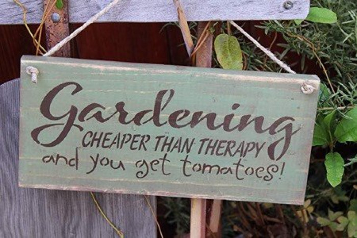 Moestuin als therapie?
