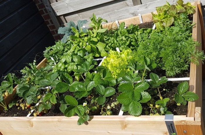 Eerste moestuinbak van Birgit