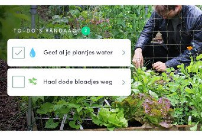 Grootse plannen voor 2018