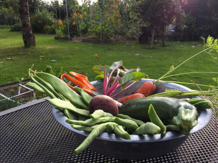 Moestuin rendabel