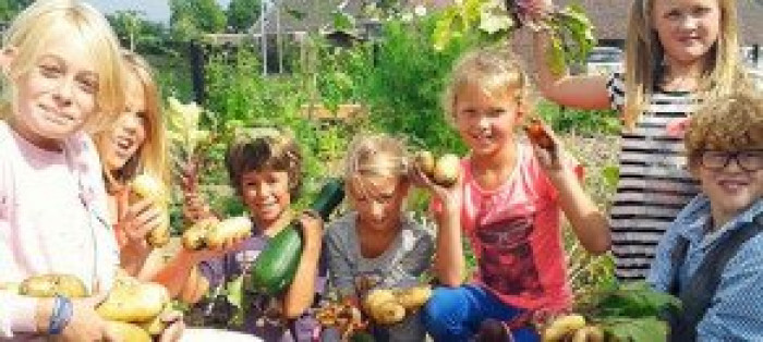 Schooltuin project
