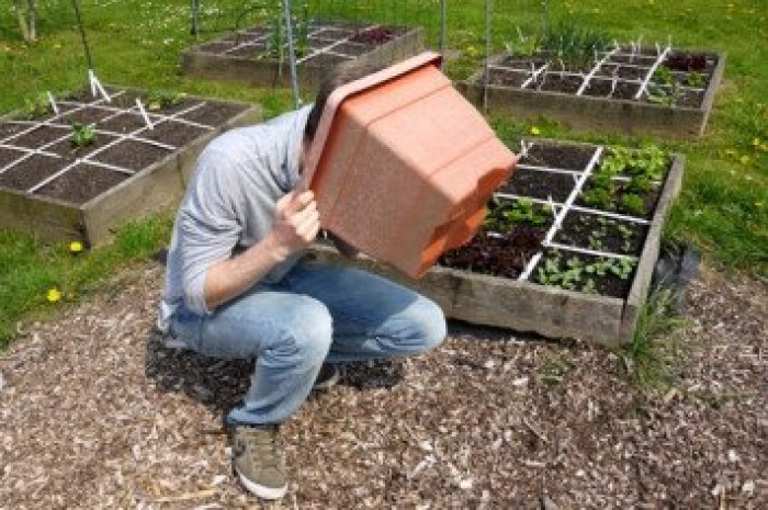 Diepe plantenbak