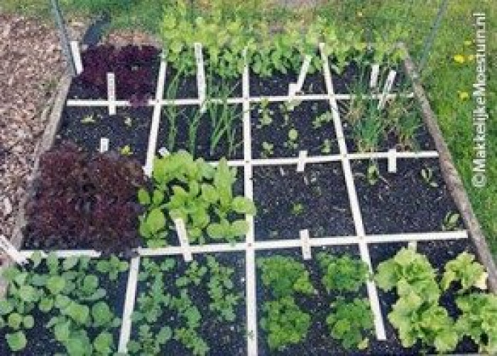 Rendabele moestuinbak