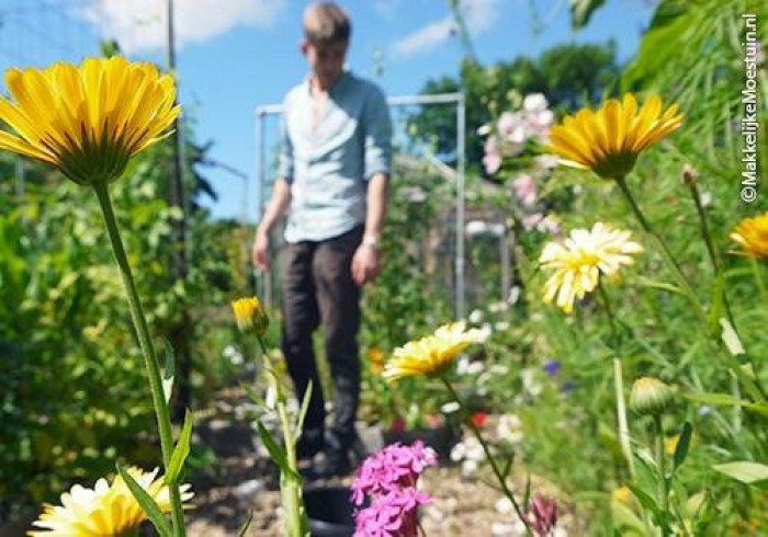 Makkelijke moestuin juli 2014