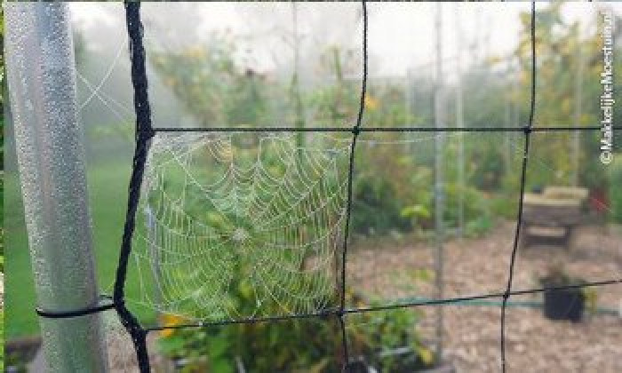 De makkelijke moestuin in september