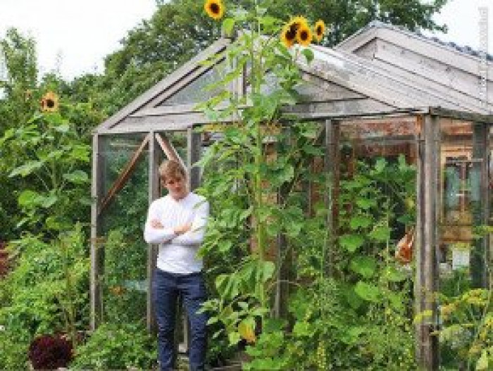 Makkelijke moestuin augustus