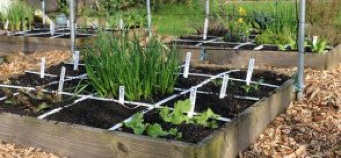 Makkelijke moestuin begin april