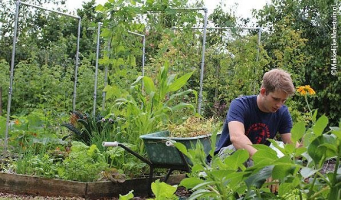 Moestuin juli