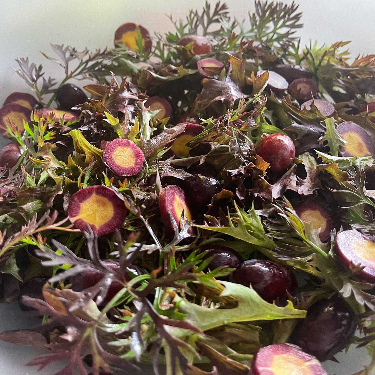 Salad of red Crispy lettuce and purple carrots