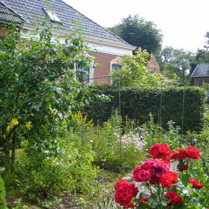 Mijn allereerste moestuin