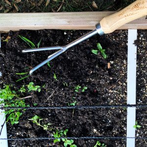 Plant labels, trowel & rake
