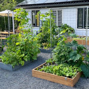 MM-Hero raised table garden box, 8 squares