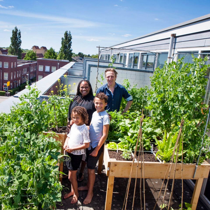 Een volwaardige moestuin op het balkon