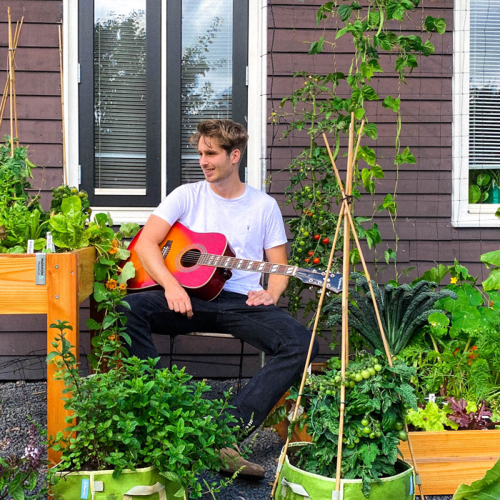Augustus: hoogzomer in de moestuin