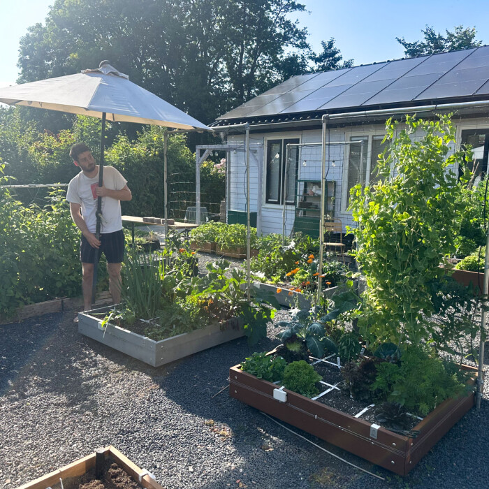 Zon én hitte? Hou je planten in de gaten!