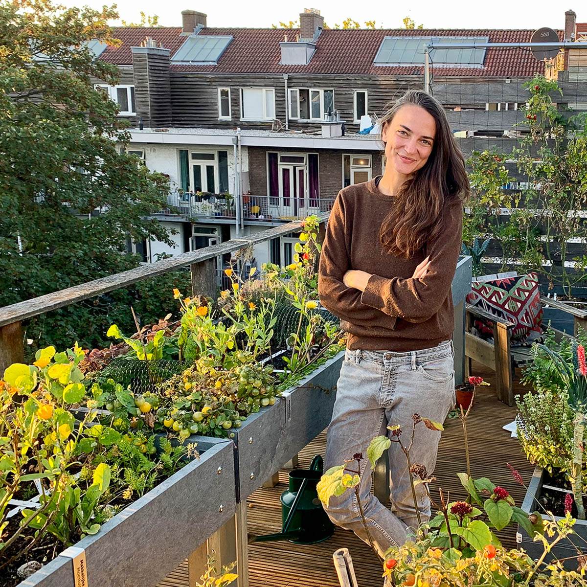 Startpakket Augustus - 4 vakken