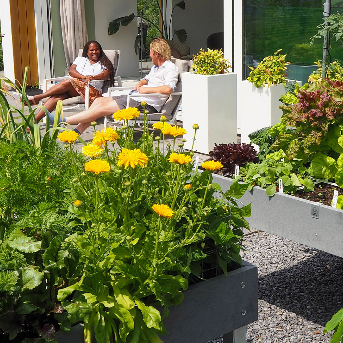 Startpakket Augustus - 4 vakken