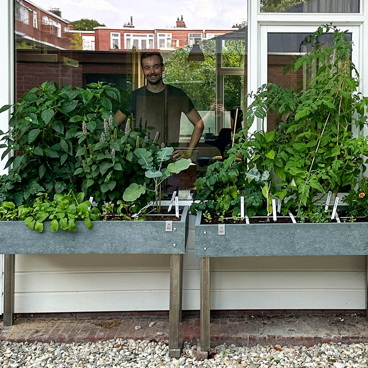 Startpakket Augustus - Tafel 8 vakken met waterreservoir